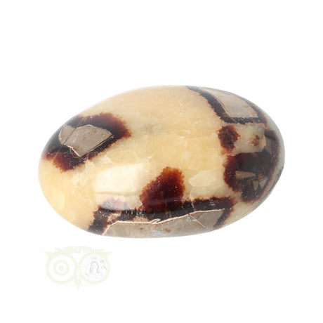 Septarien Handschmeichler Nr. 15 - 95 Gramm - Madagaskar | Edelstein