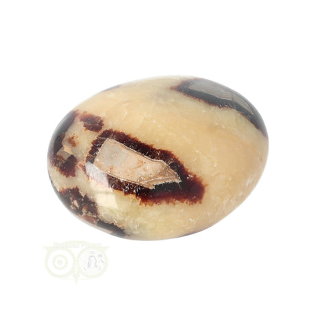 Septarien Handschmeichler Nr. 15 - 95 Gramm - Madagaskar | Edelstein