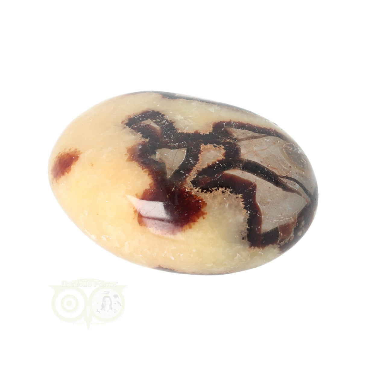 Septarie handsteen Groot nr 15