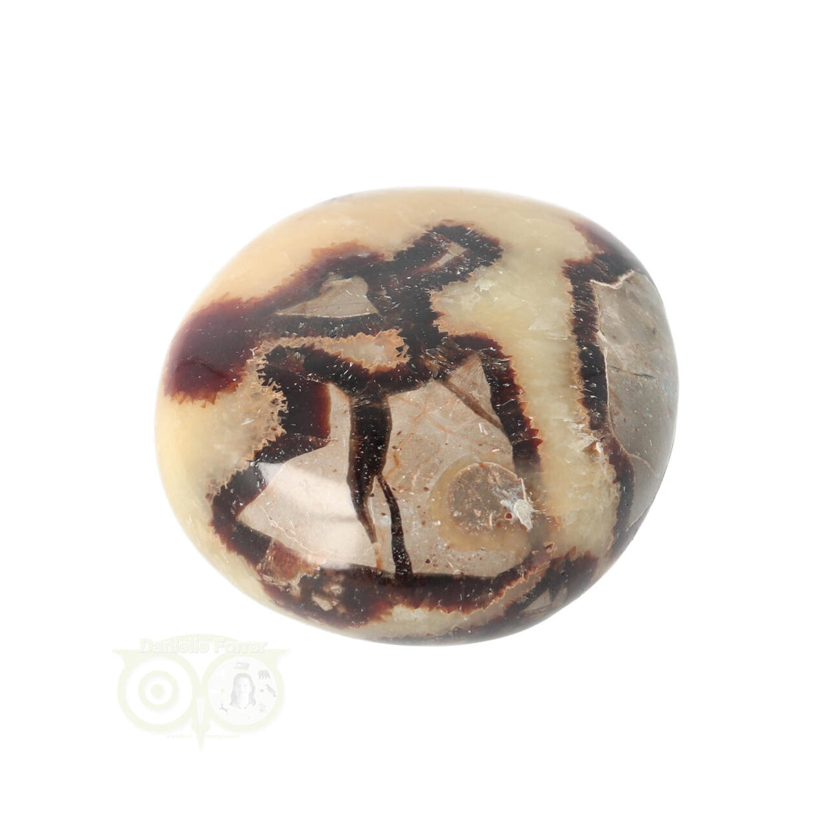 Septarie handsteen Groot nr 15