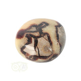 Septarie handsteen Groot nr 15