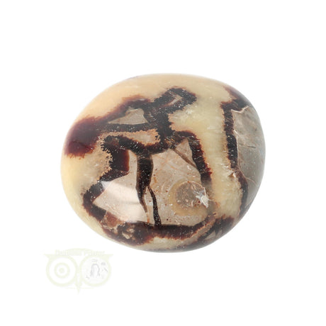Septarien Handschmeichler Nr. 15 - 95 Gramm - Madagaskar | Edelstein