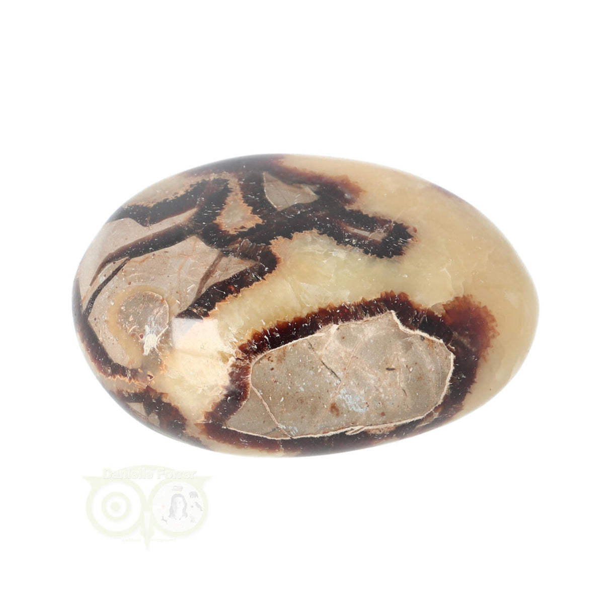 Septarie handsteen Groot nr 15