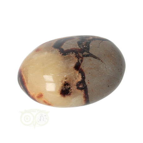 Septarien-Handschmeichler Nr. 22 - 77 Gramm - Madagaskar | Edelstein