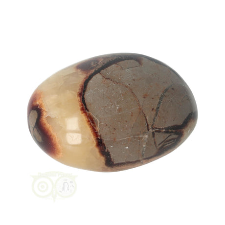Septarien-Handschmeichler Nr. 22 - 77 Gramm - Madagaskar | Edelstein