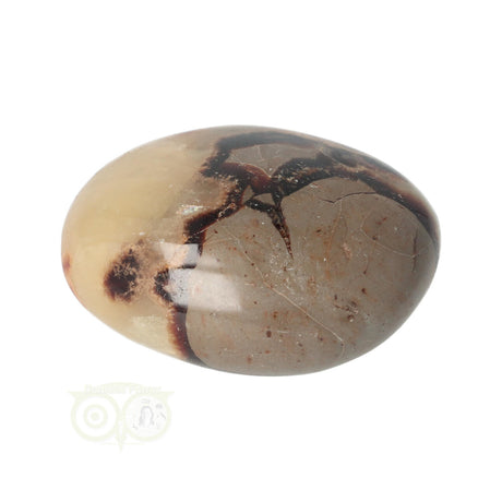 Septarien-Handschmeichler Nr. 22 - 77 Gramm - Madagaskar | Edelstein