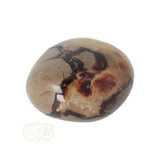 Septarie-Handstein Groß Nr. 22