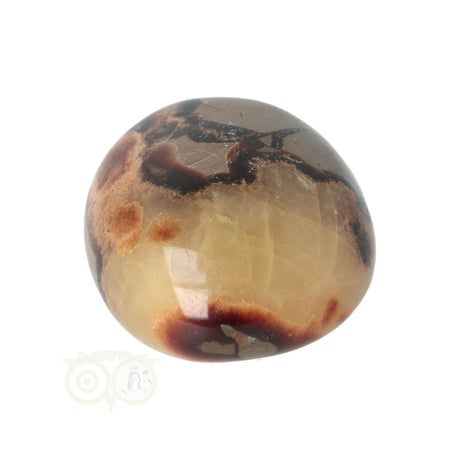 Septarien-Handschmeichler Nr. 22 - 77 Gramm - Madagaskar | Edelstein