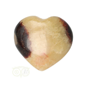 Septarie hart ± 3 cm nr. 24 - 16 gram | Edelstenen hartje kopen
