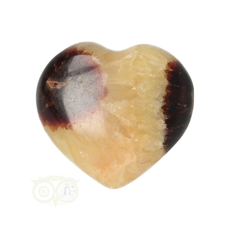 Septarie Herz ± 3 cm Nr. 24 - 16 Gramm | Edelstein Herz