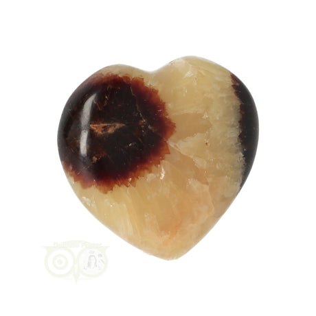 Septarie Herz ± 3 cm Nr. 24 - 16 Gramm | Edelstein Herz