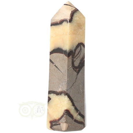 Septarien-Spitze Nr. 16 – 414 Gramm | Edelstein-Spitze