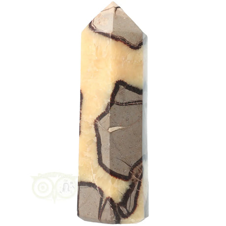 Septarien-Spitze Nr. 16 – 414 Gramm | Edelstein-Spitze
