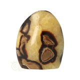 Septarie sculptuur 354 gram