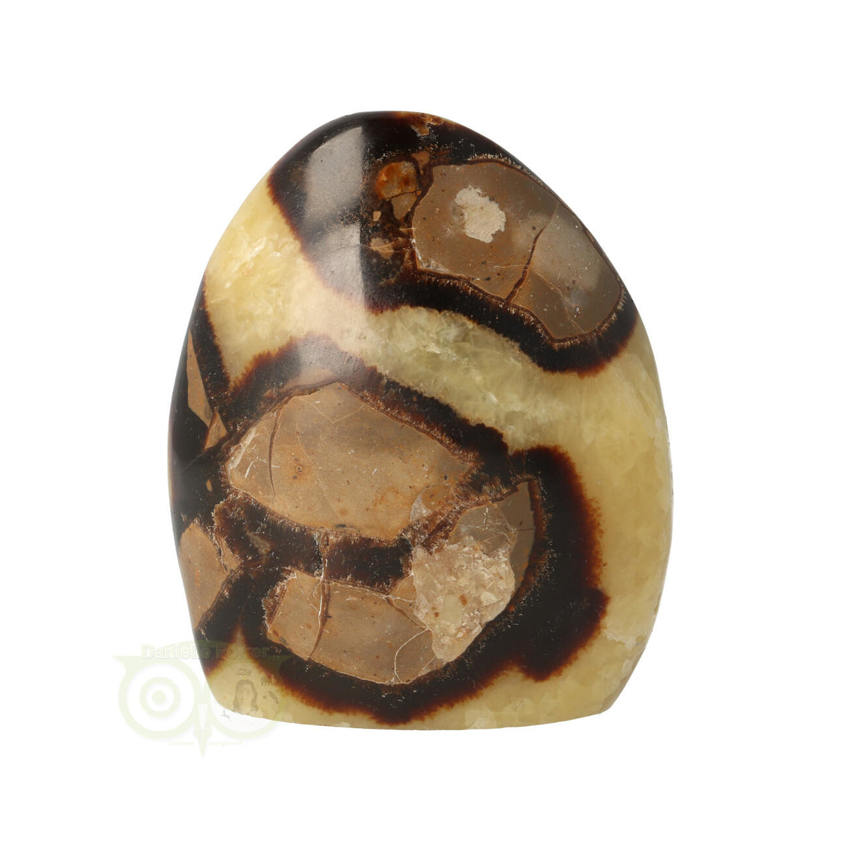 Septarie sculptuur 354 gram