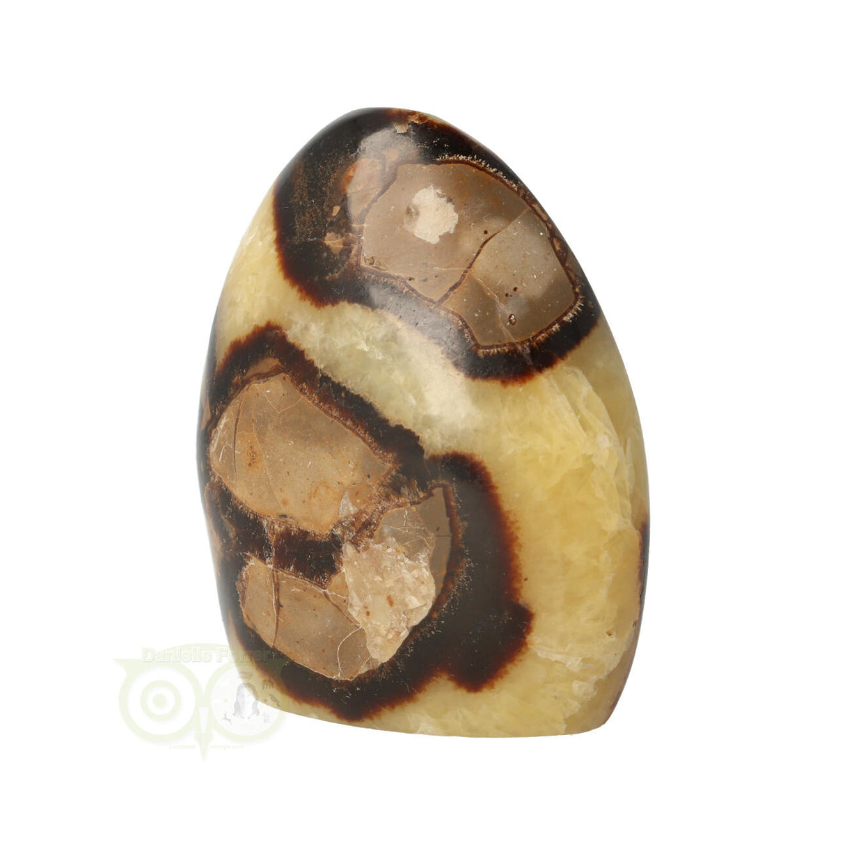 Septarie sculptuur 354 gram