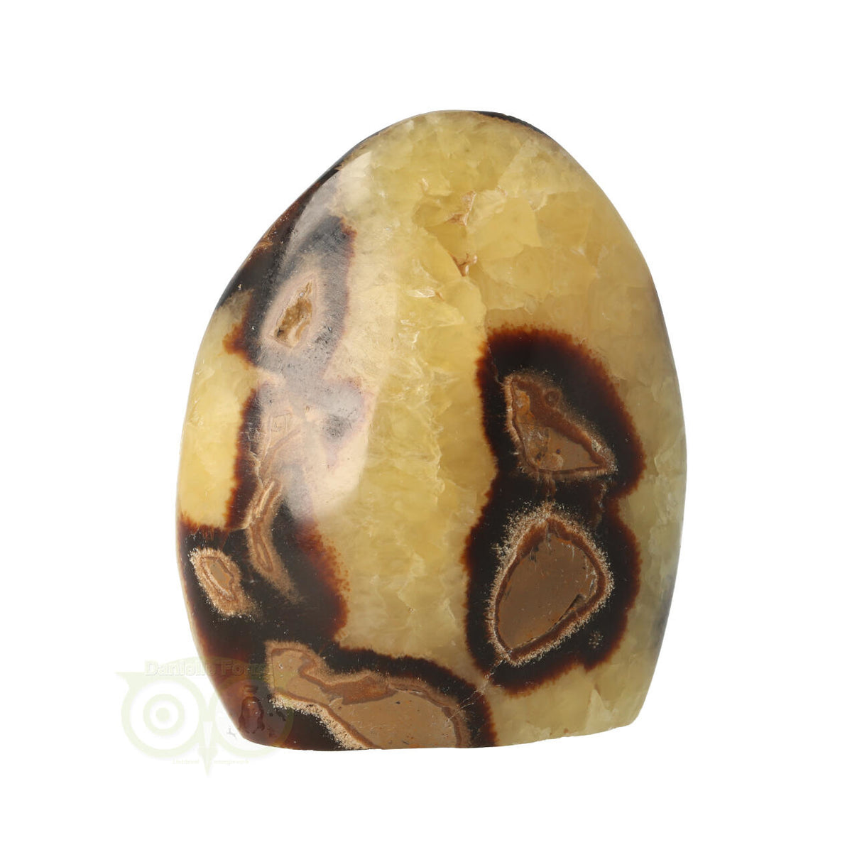 Septarie sculptuur 354 gram