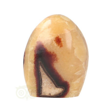 Septarie Sculptuur Nr. 16 – 651 gram – Madagaskar | Edelsteen sculptuur