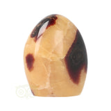 Septarie sculptuur Nr 16