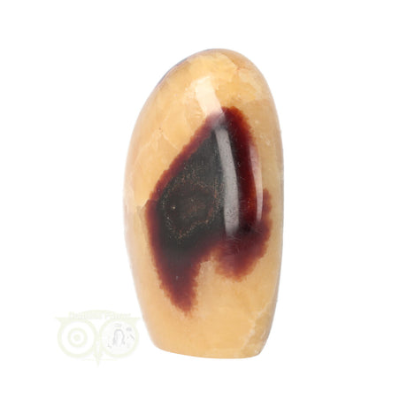 Septarie Sculptuur Nr. 16 – 651 gram – Madagaskar | Edelsteen sculptuur