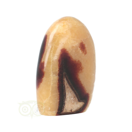 Septarie Sculptuur Nr. 16 – 651 gram – Madagaskar | Edelsteen sculptuur