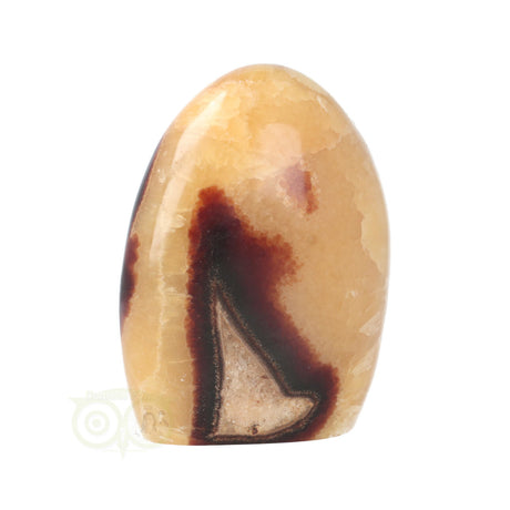 Septarie Sculptuur Nr. 16 – 651 gram – Madagaskar | Edelsteen sculptuur