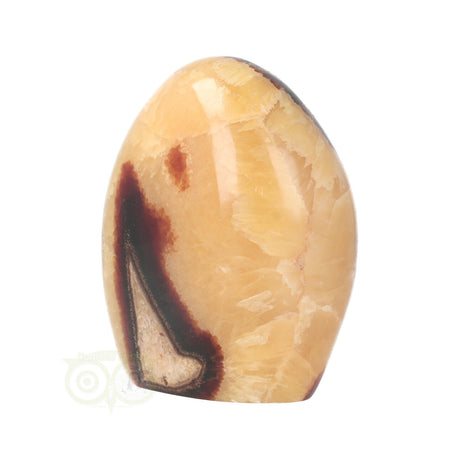 Septarie Sculptuur Nr. 16 – 651 gram – Madagaskar | Edelsteen sculptuur