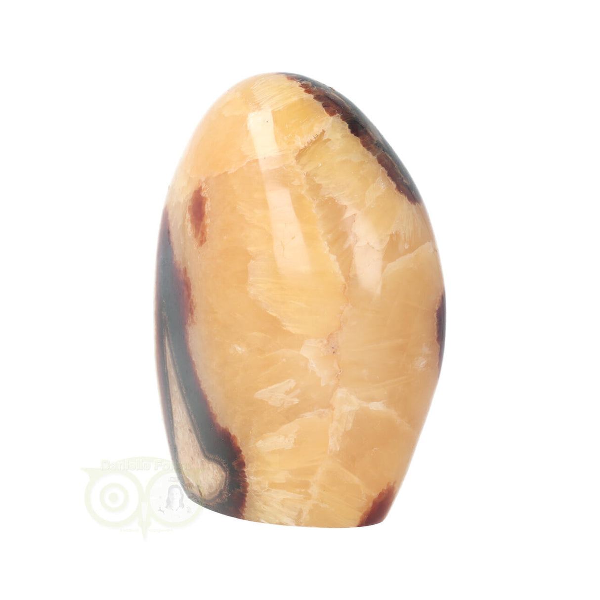 Septarie sculptuur Nr 16