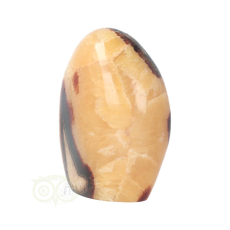 Septarie Sculptuur Nr. 16 – 651 gram – Madagaskar | Edelsteen sculptuur