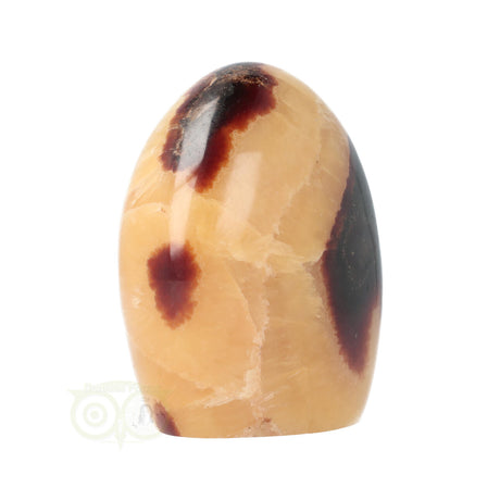 Septarie Sculptuur Nr. 16 – 651 gram – Madagaskar | Edelsteen sculptuur
