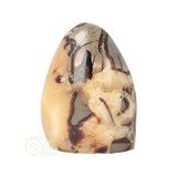 Septarie sculptuur Nr 17