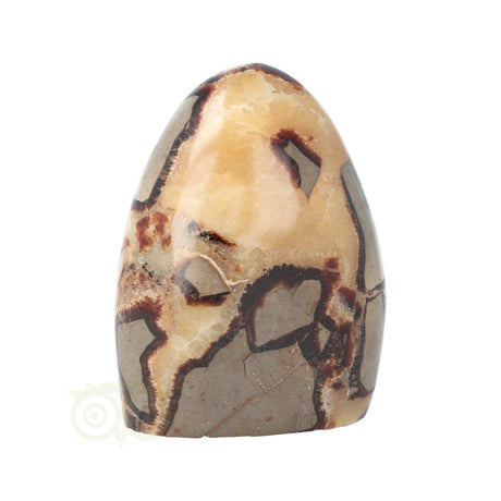 Septarie Sculptuur Nr. 17 – 441 gram – Madagaskar | Edelsteen sculptuur
