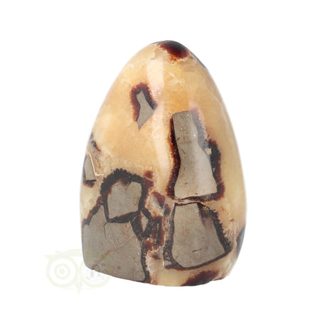 Septarie Sculptuur Nr. 17 – 441 gram – Madagaskar | Edelsteen sculptuur