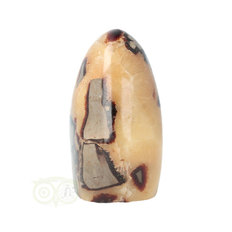Septarie Sculptuur Nr. 17 – 441 gram – Madagaskar | Edelsteen sculptuur