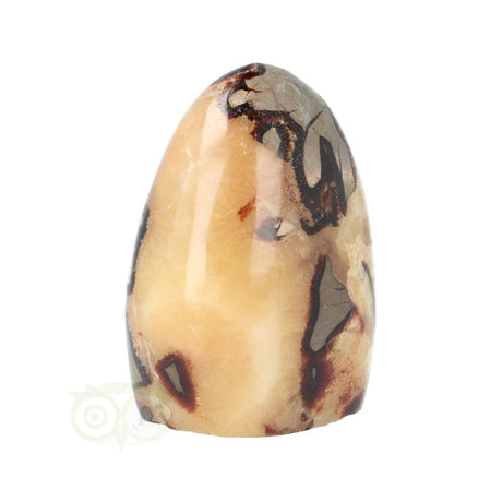 Septarie Sculptuur Nr. 17 – 441 gram – Madagaskar | Edelsteen sculptuur