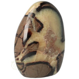 Septarienskulptur Nr. 23