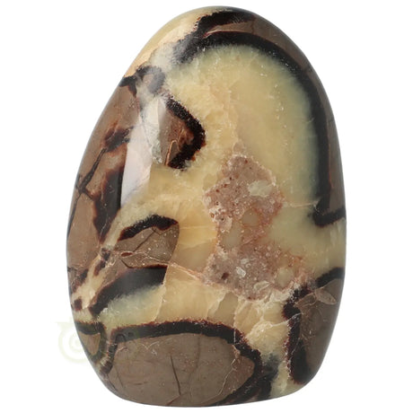 Septarian Sculpture No. 23 - 799 grams - Madagascar | Gemstone Sculpture