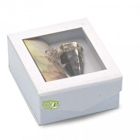 Orgon Pendel Schungit - Facettenschliff