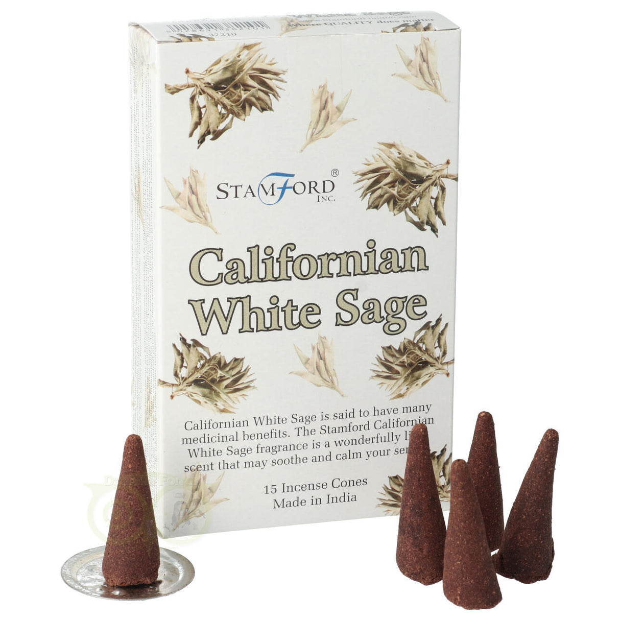 StamFord Kalifornischer Weißer Salbei - 15 Zapfen