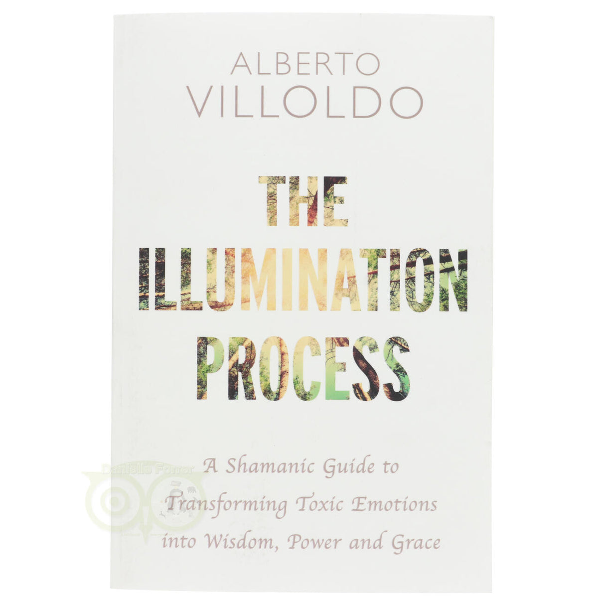 The Illumination process - Alberto Villoldo