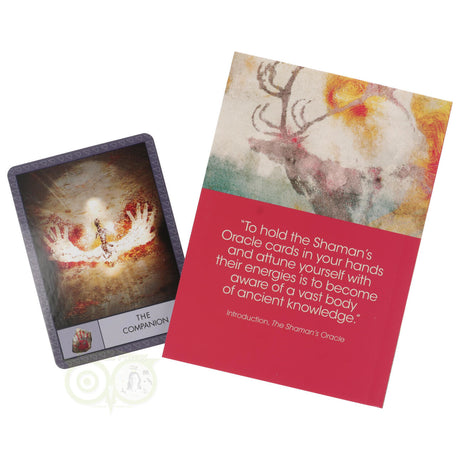 shamans oracle kaarten intuïtie en levensvragen