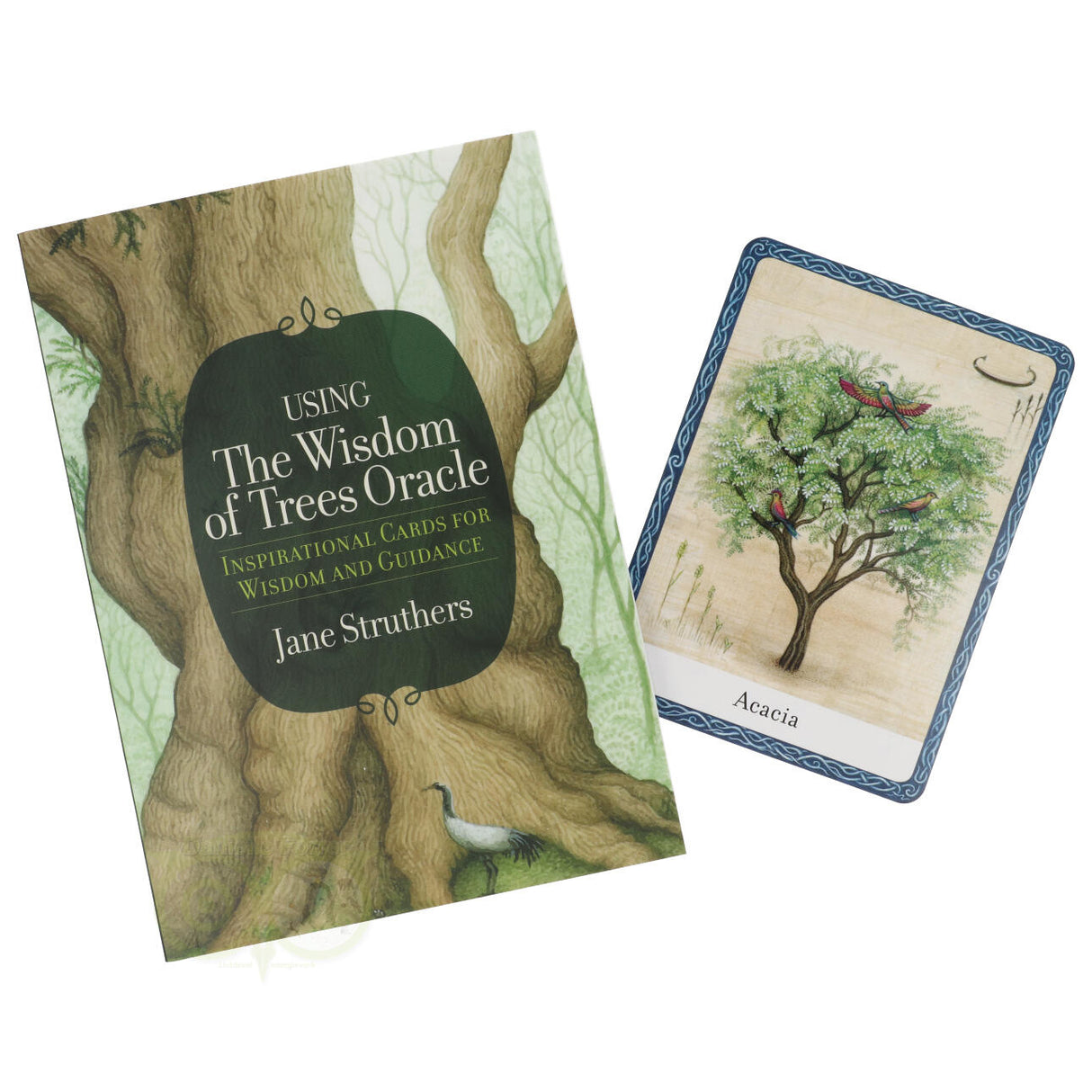 The Wisdom of Trees Oracle - Jane Struthers
