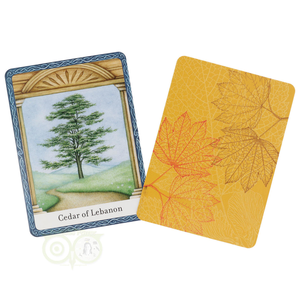 The Wisdom of Trees Oracle - Jane Struthers