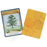 The Wisdom of Trees Oracle - Jane Struthers