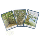 The Wisdom of Trees Oracle - Jane Struthers