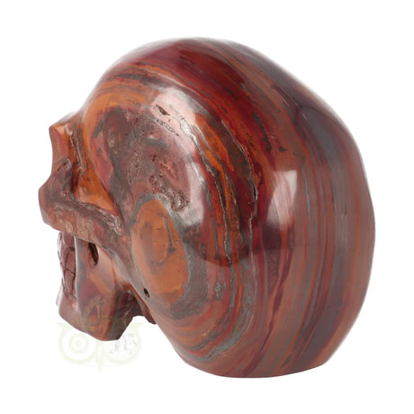 tijgerijzer skull xl uniek exemplaar nr 5