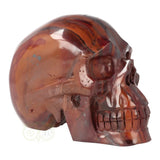 Tiger Iron Skull XL No. 5