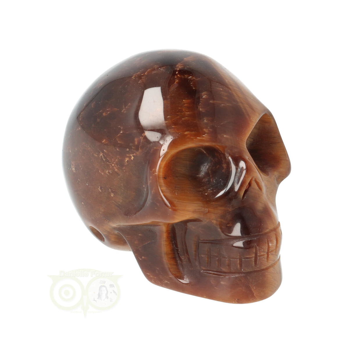 Tijgeroog schedel  Nr 15