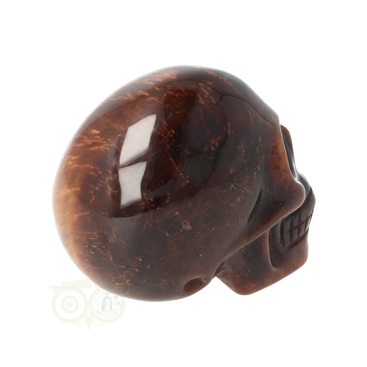 Tijgeroog schedel  Nr 15