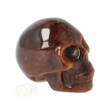 Tijgeroog schedel  Nr 15